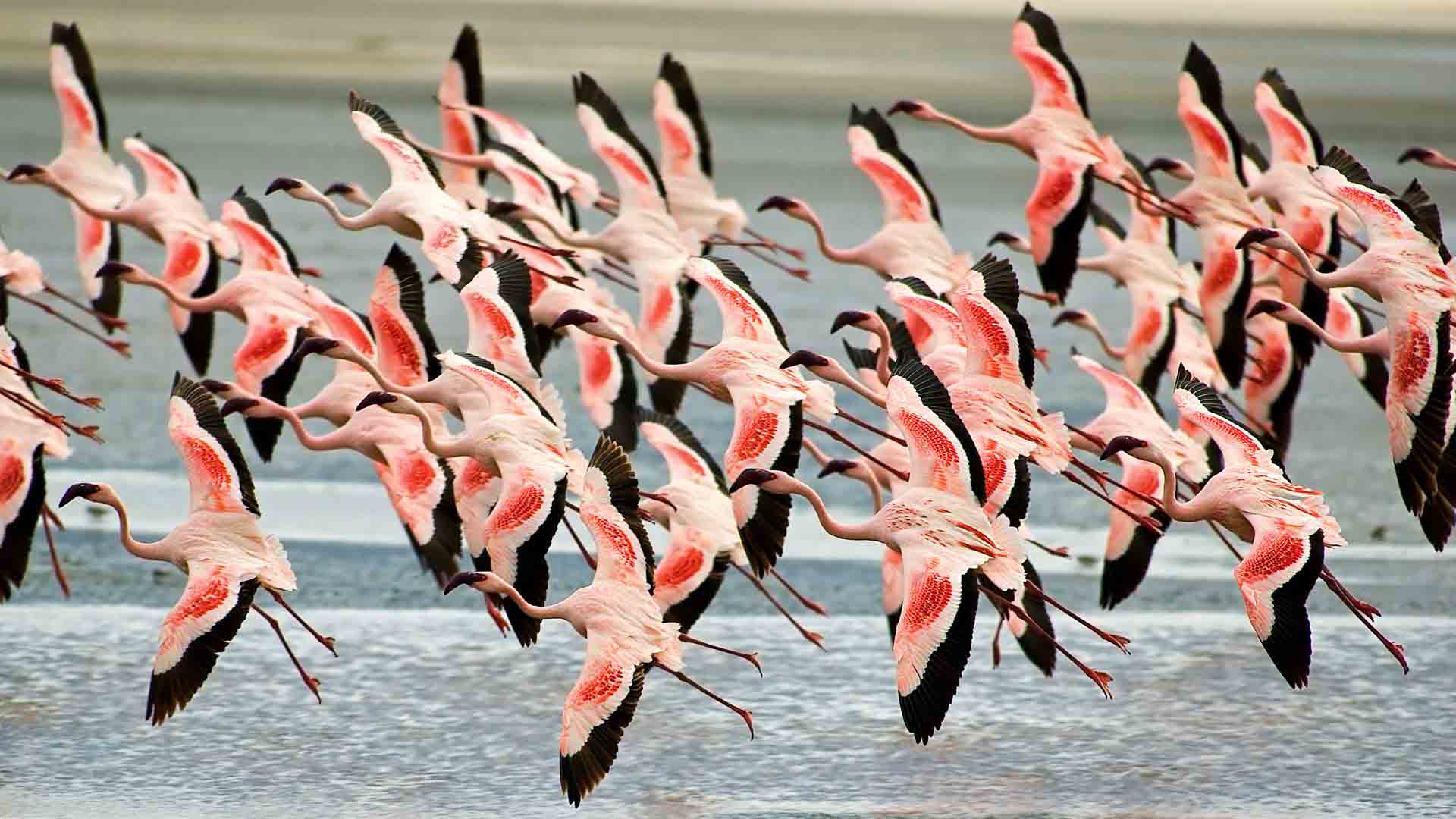 Karatu to Lake Manyara National Park detail