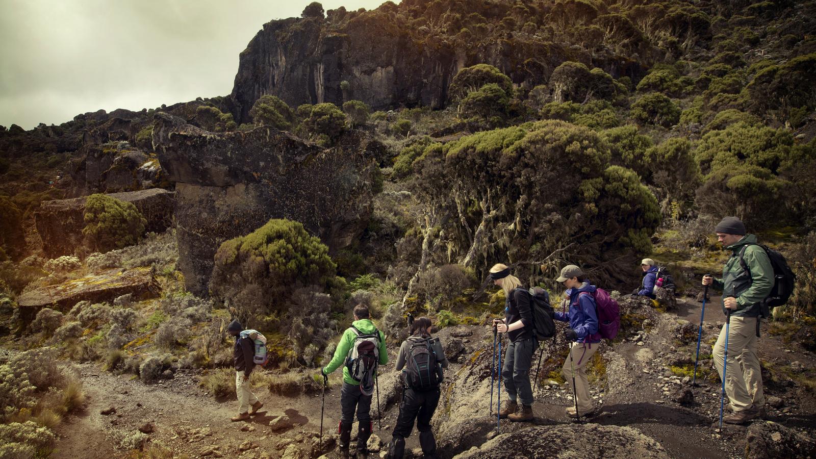 Alpine Desert — Climb High, Sleep Low