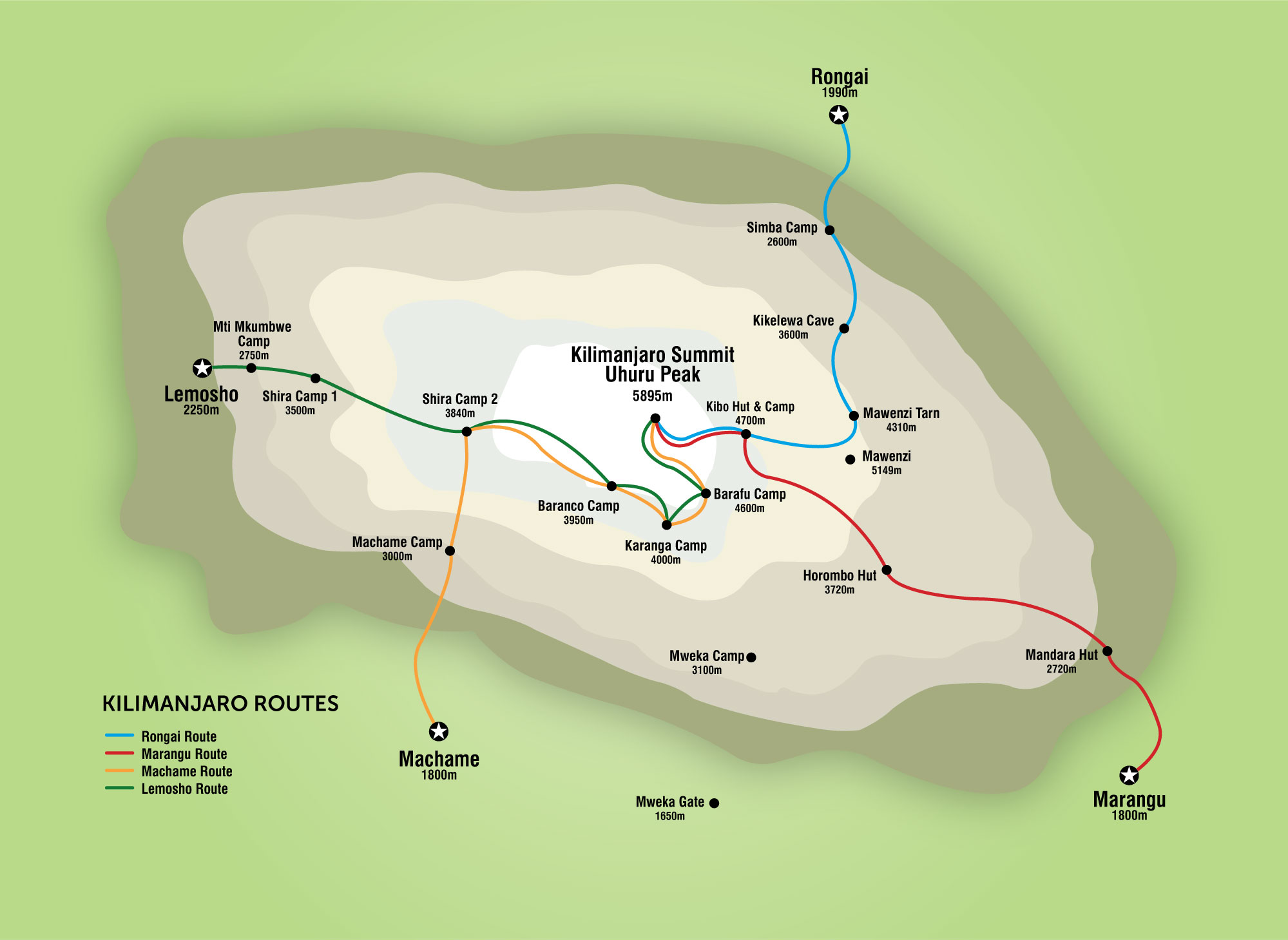 Rainforest Zone — 1,800m to 3,000m