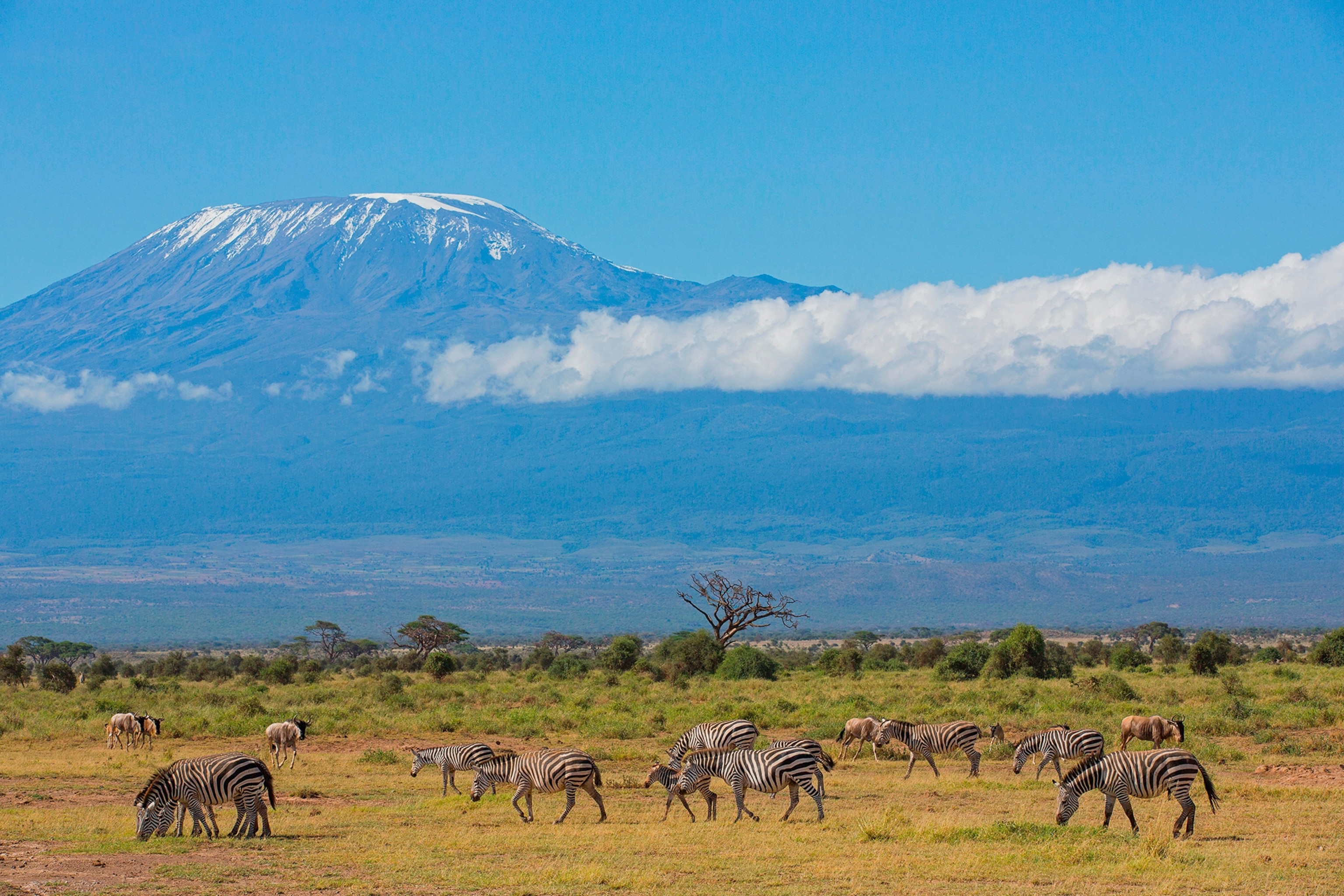 Kilimanjaro Machame