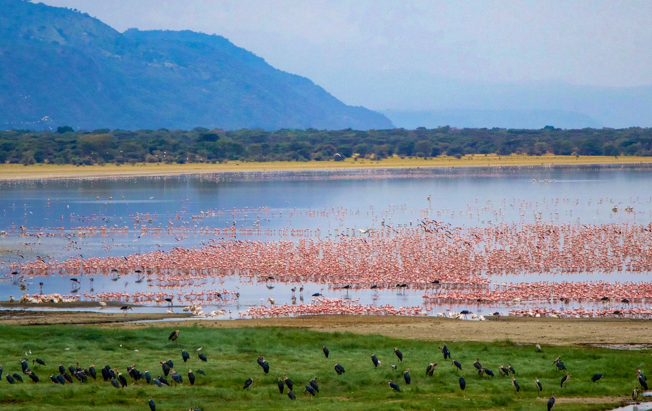 Big Five in the Caldera