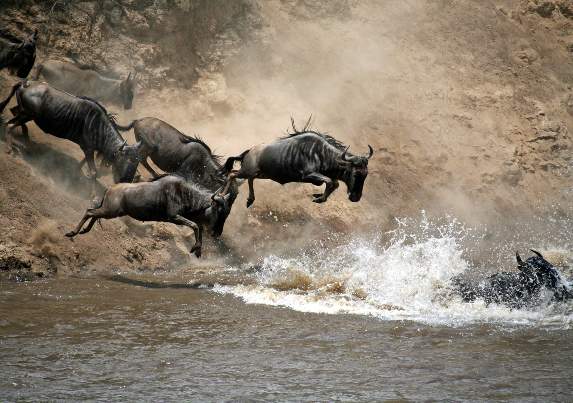 Serengeti Migration Safari