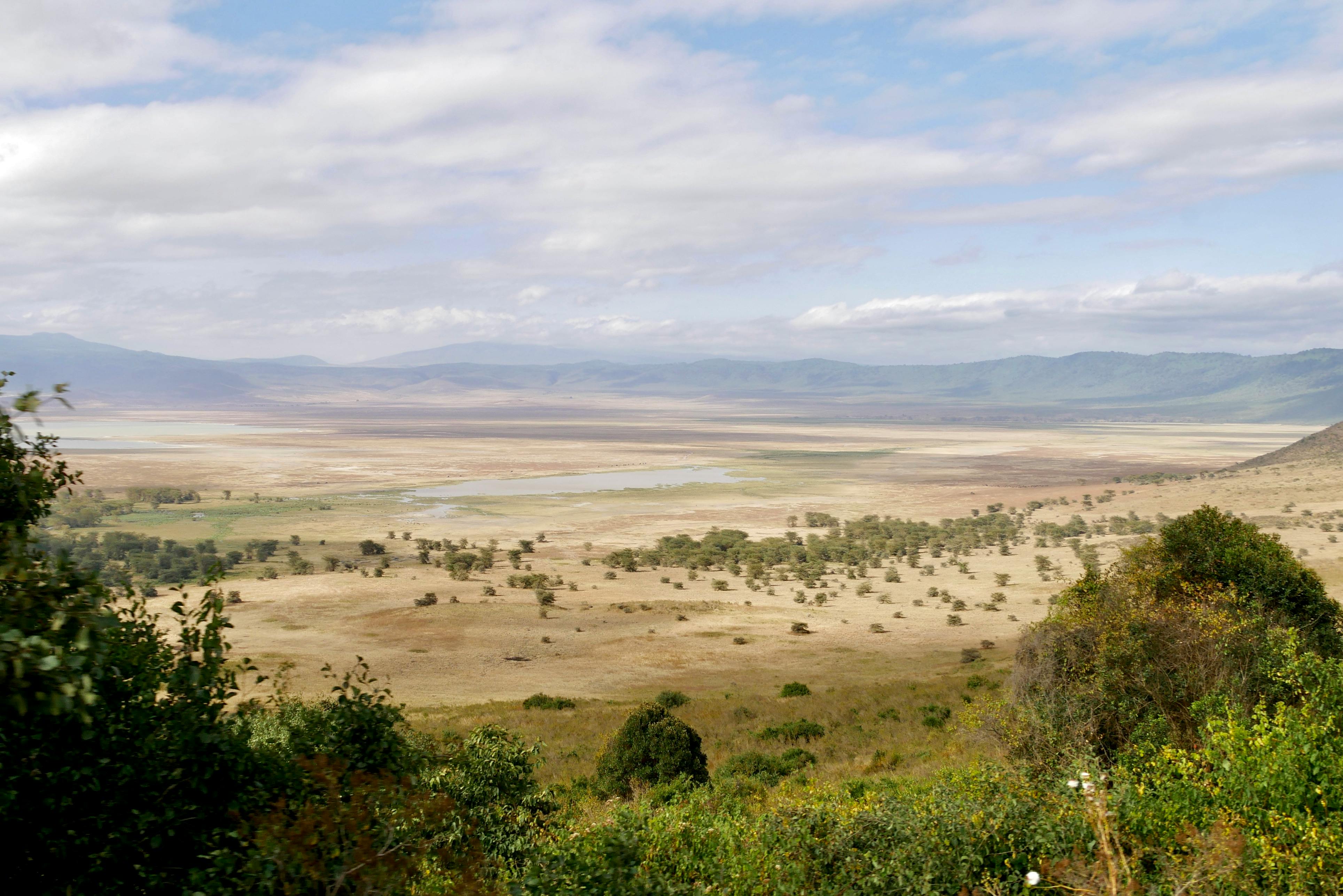 Serengeti to Ngorongoro Crater